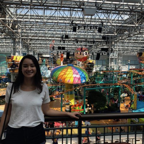 Day 138 – The Mall of America